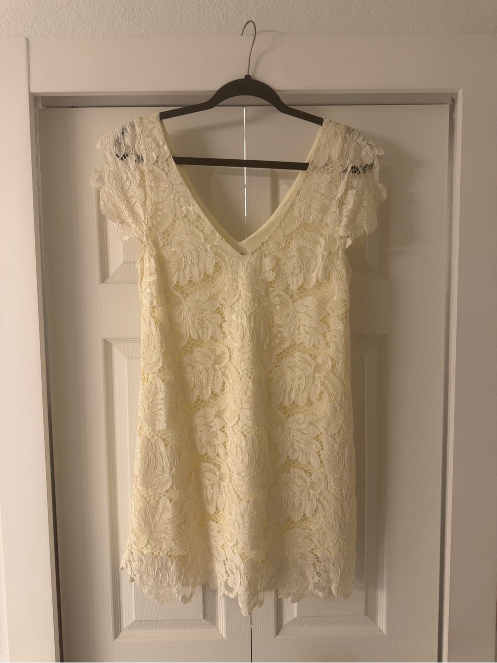 BB Dakota Lace V-Neck Short Sleeve Dress in Cream